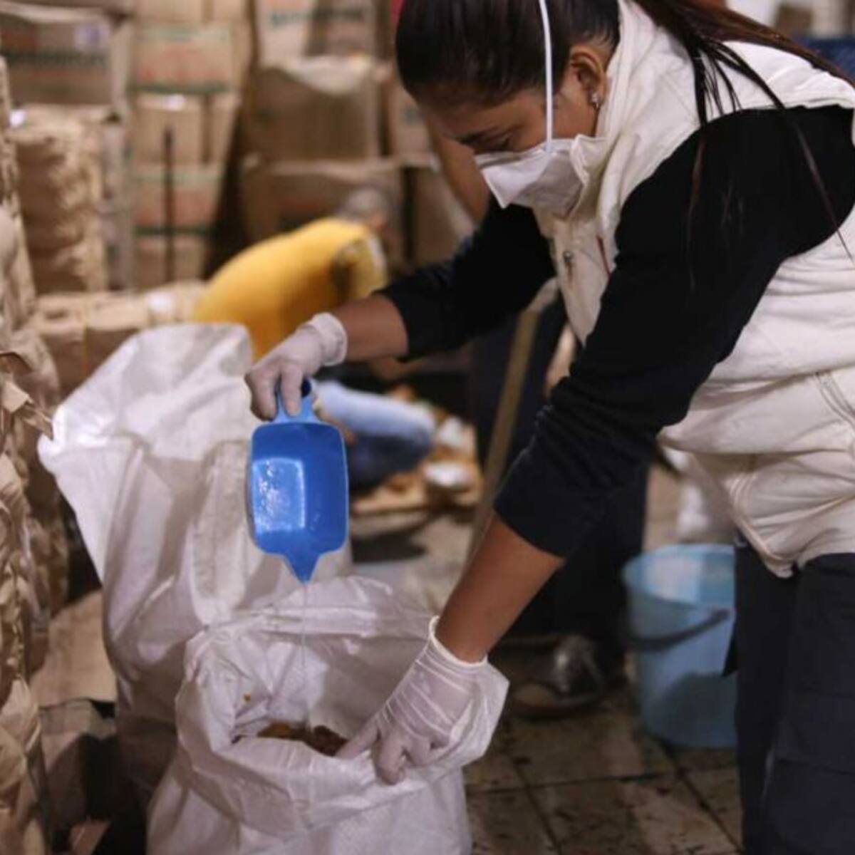 Panela con adición de químicos nocivos iba a ser comercializada en Pereira