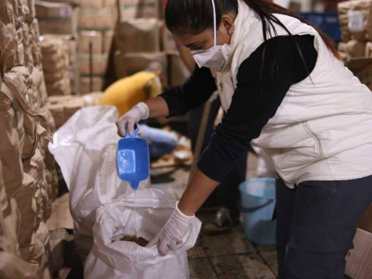 Panela con adición de químicos nocivos iba a ser comercializada en Pereira