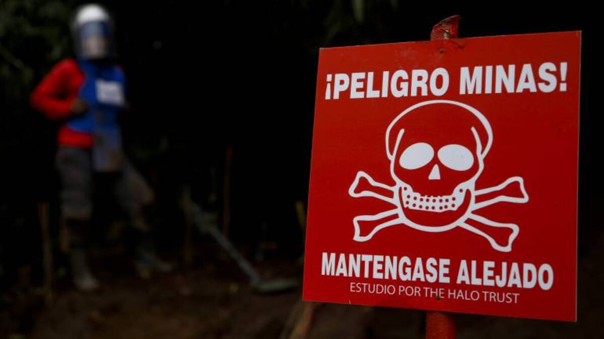 Halo Trust suspendió desminado en tres municipios de Antioquia por amenazas de las disidencias Farc