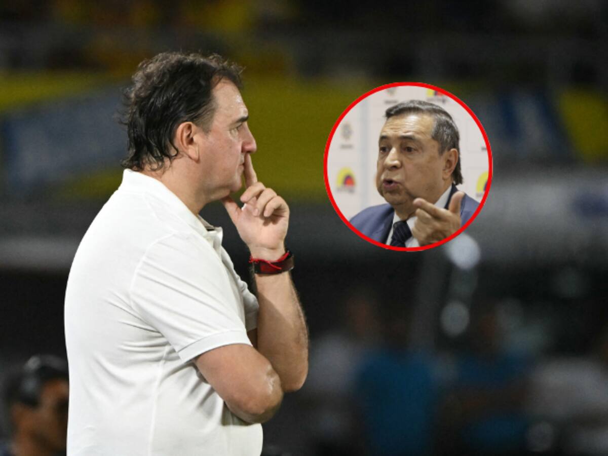 Vicepresidente de la Federación Colombiana hizo una fuerte crítica al presente de la Selección