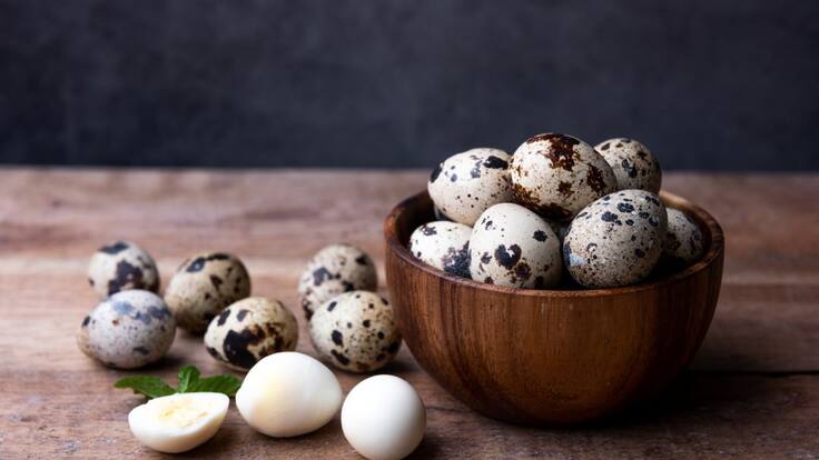 Huevos de codorniz, otro gran emprendimiento en los Montes de María