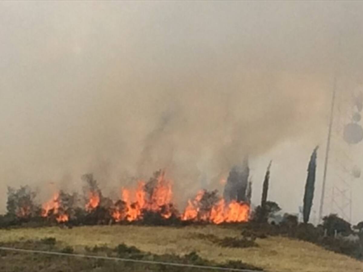 Incendios consumen 9.000 hectáreas de bosques, pastos y cultivos