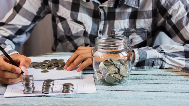 Salario Mínimo, Ahorro, Salario Mínimo Vital