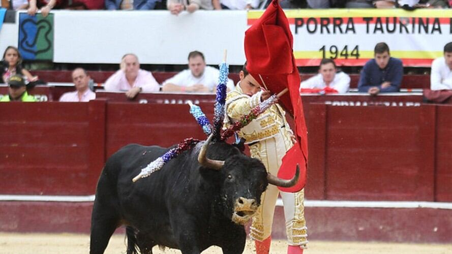 Desde el Congreso insistirán en prohibir las corridas de toros. Foto: Colprensa