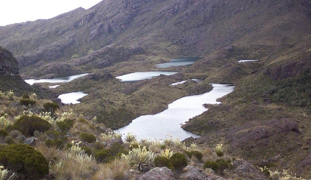 Páramo de Santurbán