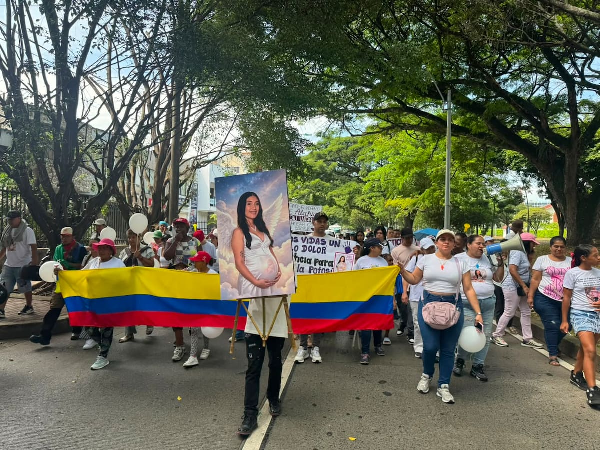 Cali marchó para exigir justicia por María Camila Potosí y respuestas sobre la bebé que esperaba