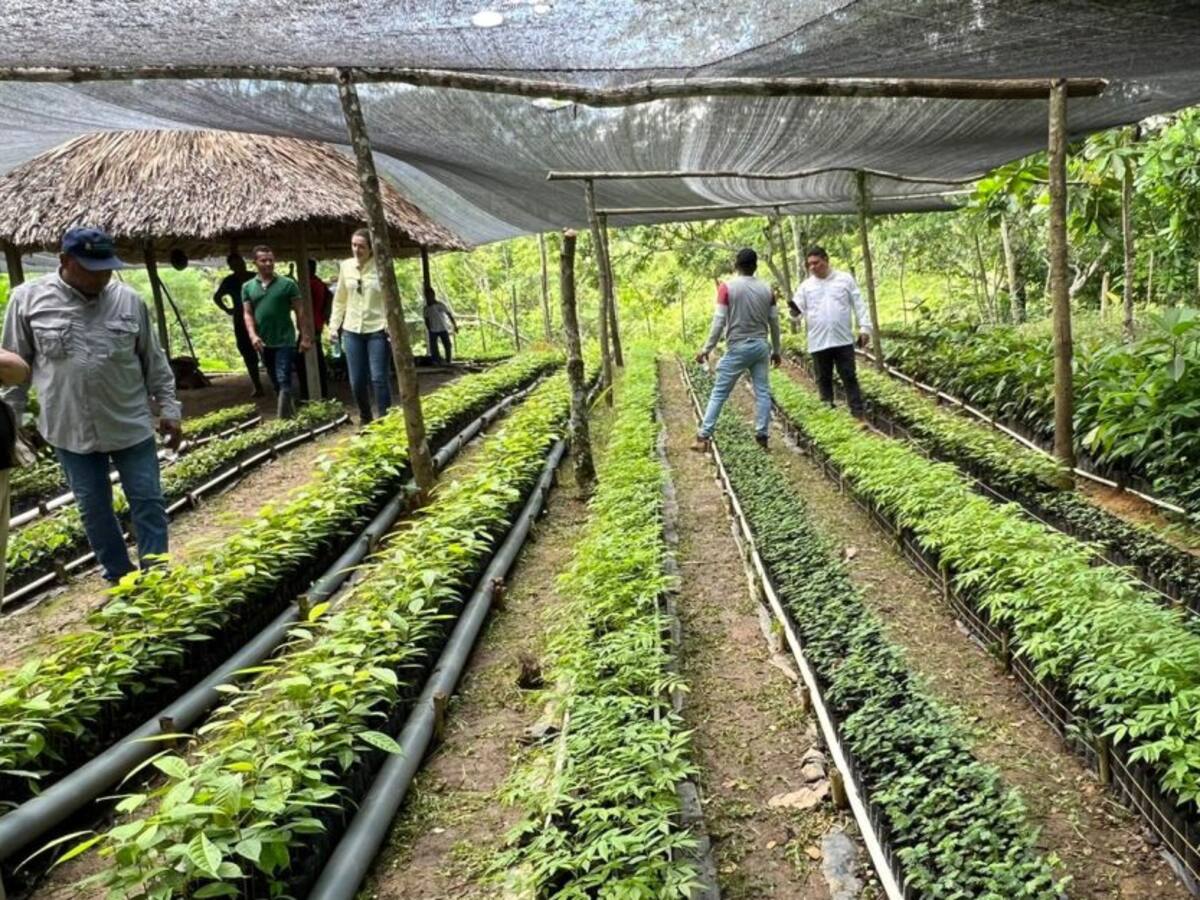Avanza proyecto para conservación del agua en los Montes de María
