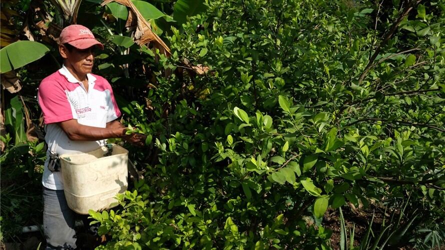 Óscar Ospina, alcalde de El Retorno, explica lo ocurrido en los enfrentamientos entre Policía y campesinos por la erradicación forzosa de coca. Foto: Getty Images