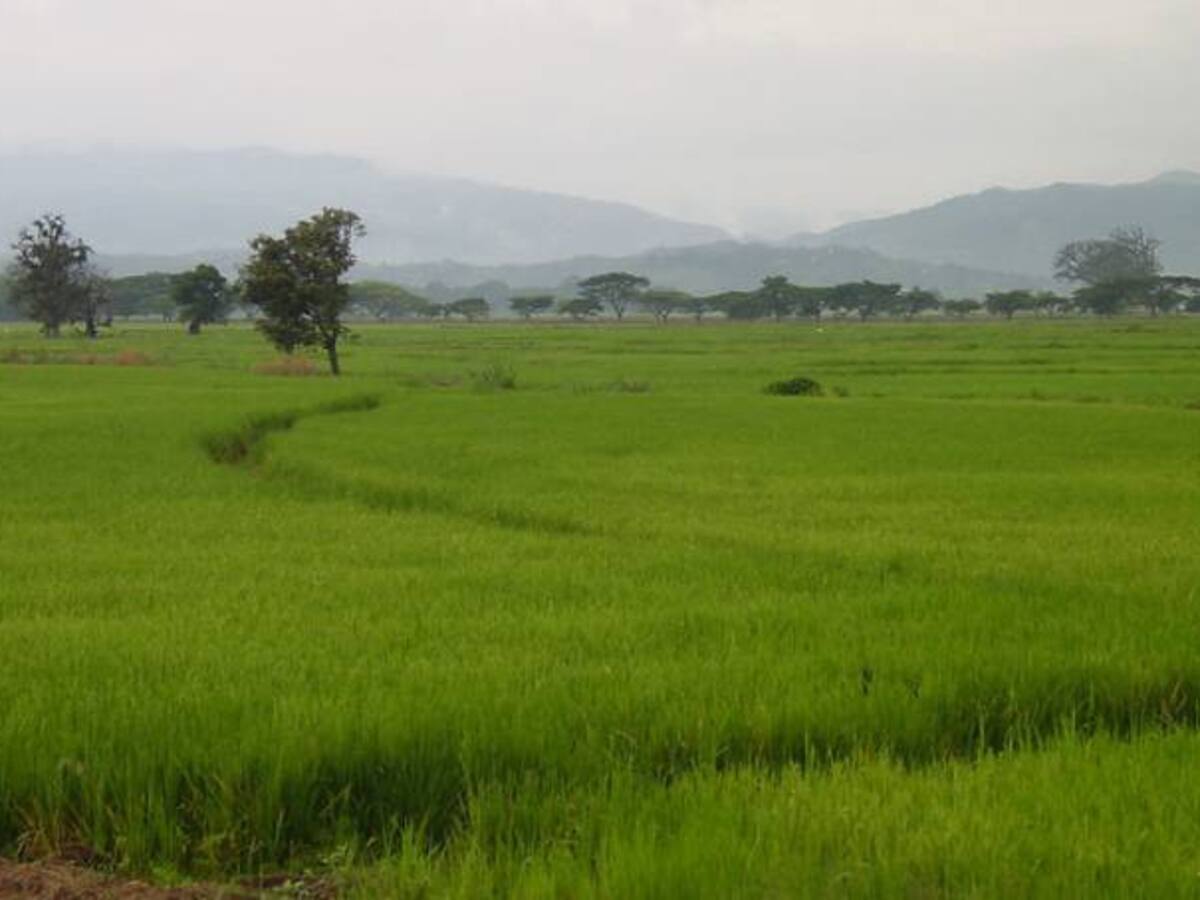 Así quedó la delimitación de la Frontera agrícola en Colombia