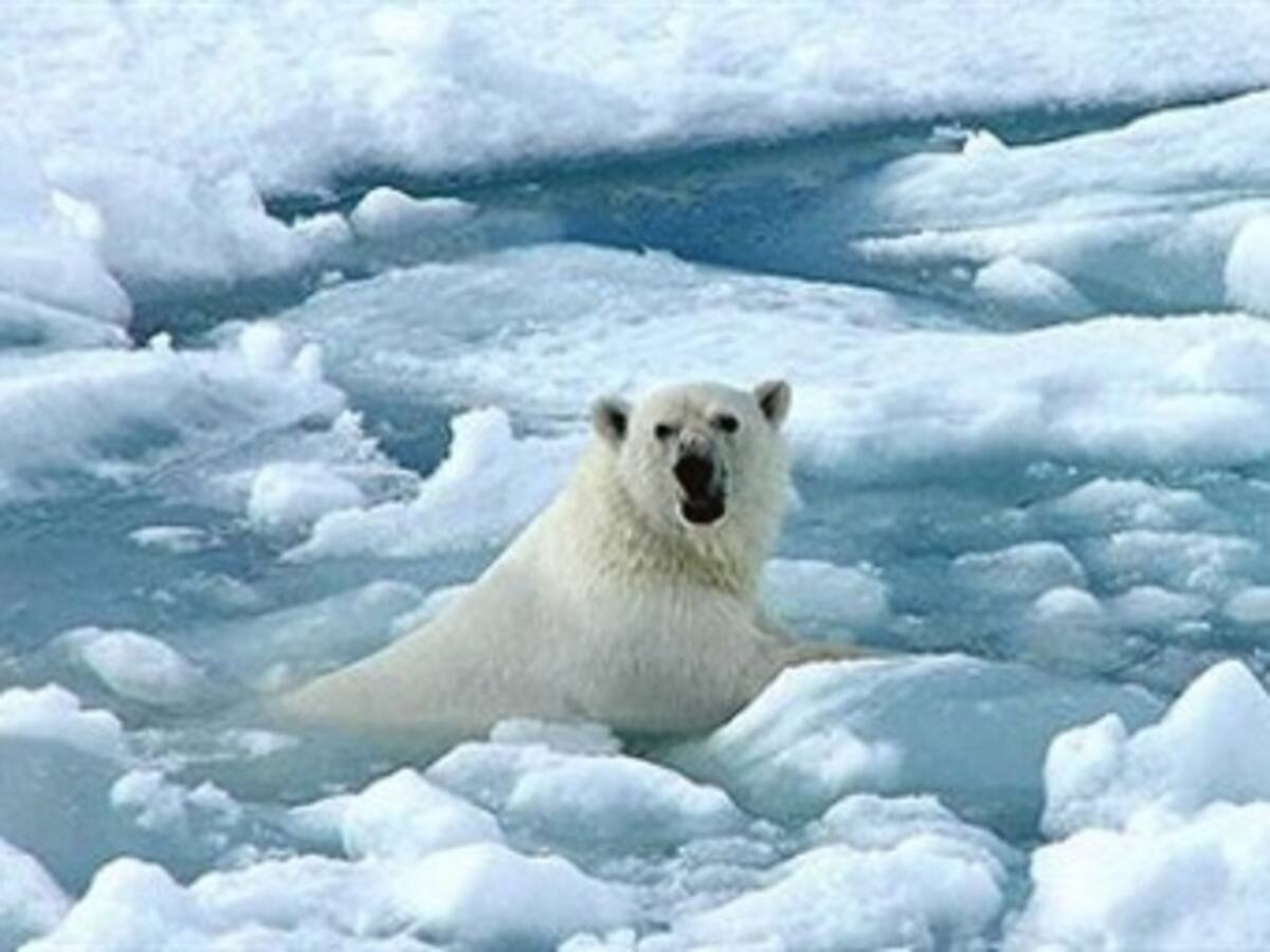 Ban Ki-moon dice que el Artico podría quedarse sin hielo para 2030