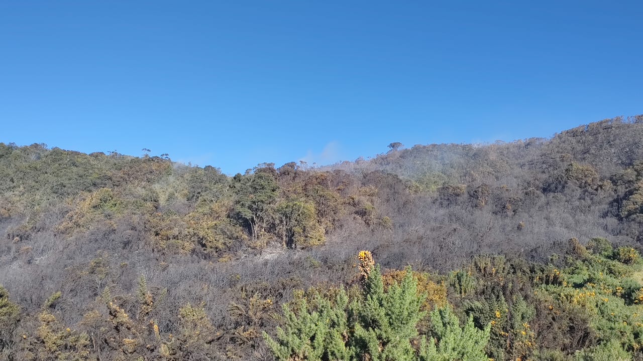 Incendio consumió vegetación nativa de zona rural de Saboyá / Cortesía: Cuerpo de Bomberos de Chiquinquirá.