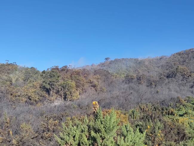 Incendio consumió vegetación nativa de zona rural de Saboyá / Cortesía: Cuerpo de Bomberos de Chiquinquirá.