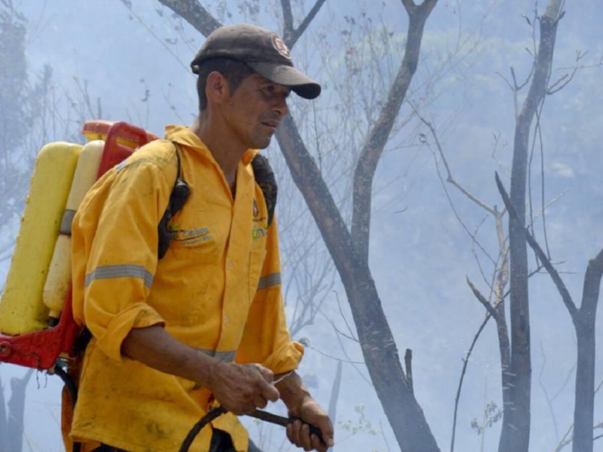 CAM alerta sobre la ocurrencia de incendios forestales