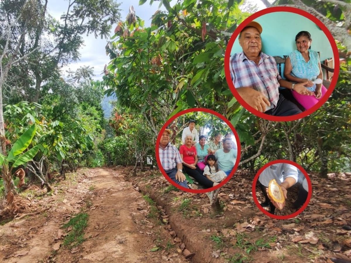 Con ‘La Vecindad del Cacao’ una familia santandereana resurgió del conflicto armado