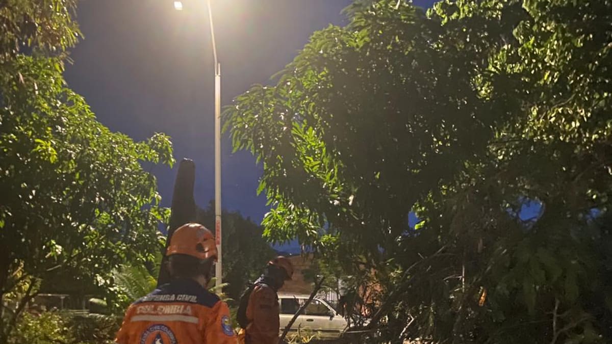 Fuerte aguacero y vendaval dejó afectaciones en Cartago, Valle del Cauca