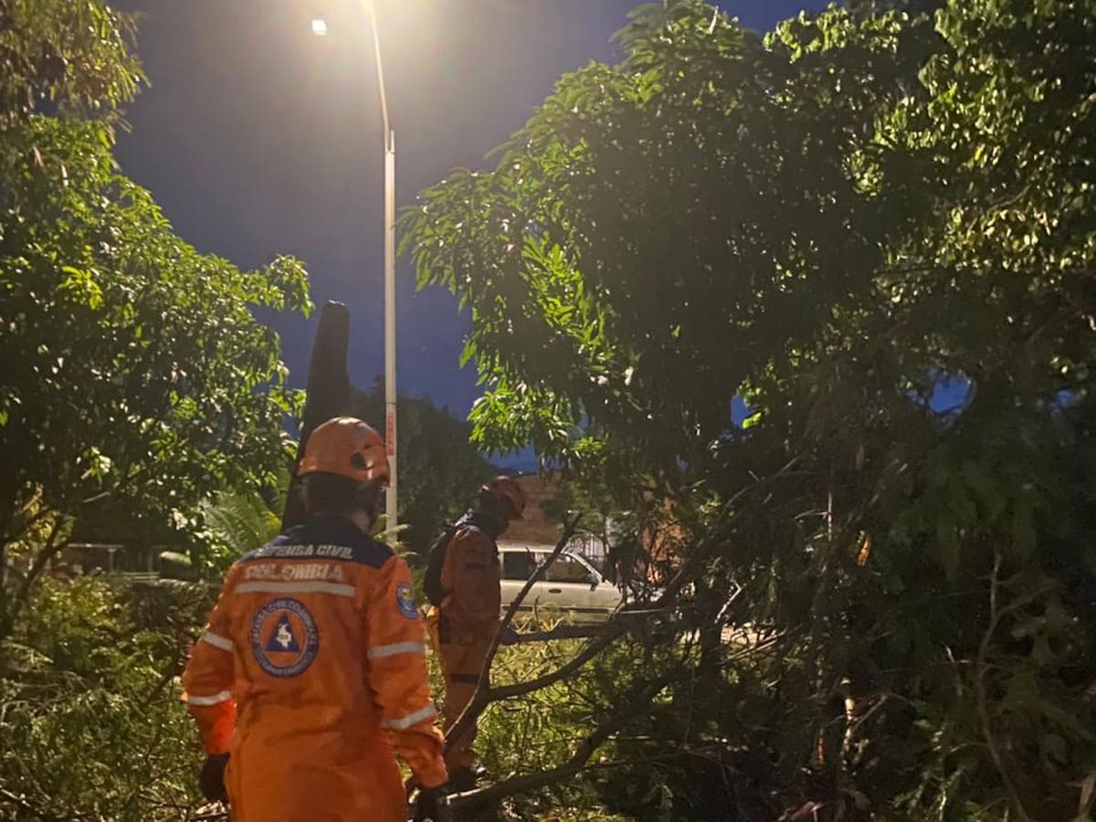 Fuerte aguacero y vendaval dejó afectaciones en Cartago, Valle del Cauca