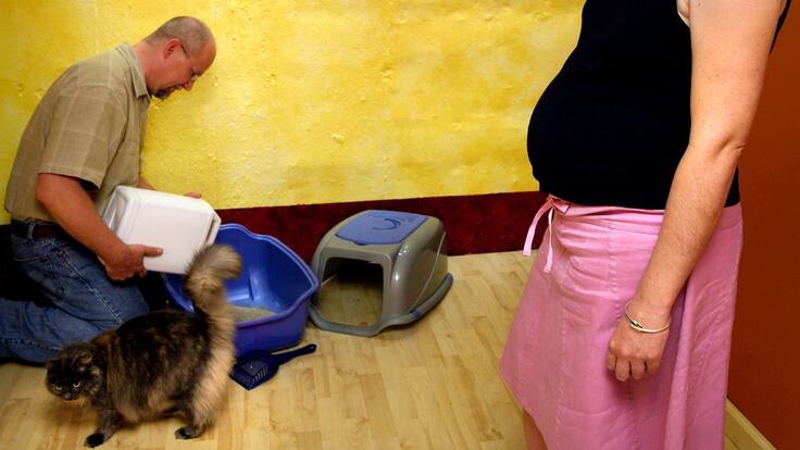 Escuche el programa Mascotas Caracol 02 de Octubre