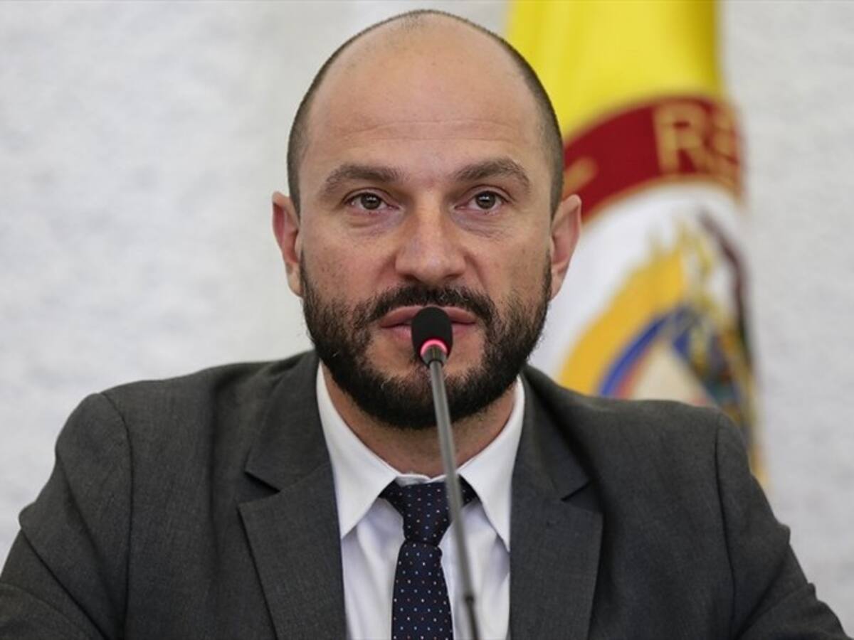 ONU no consultó al Consejo Nacional de Reincorporación: Joshua Mitrotti