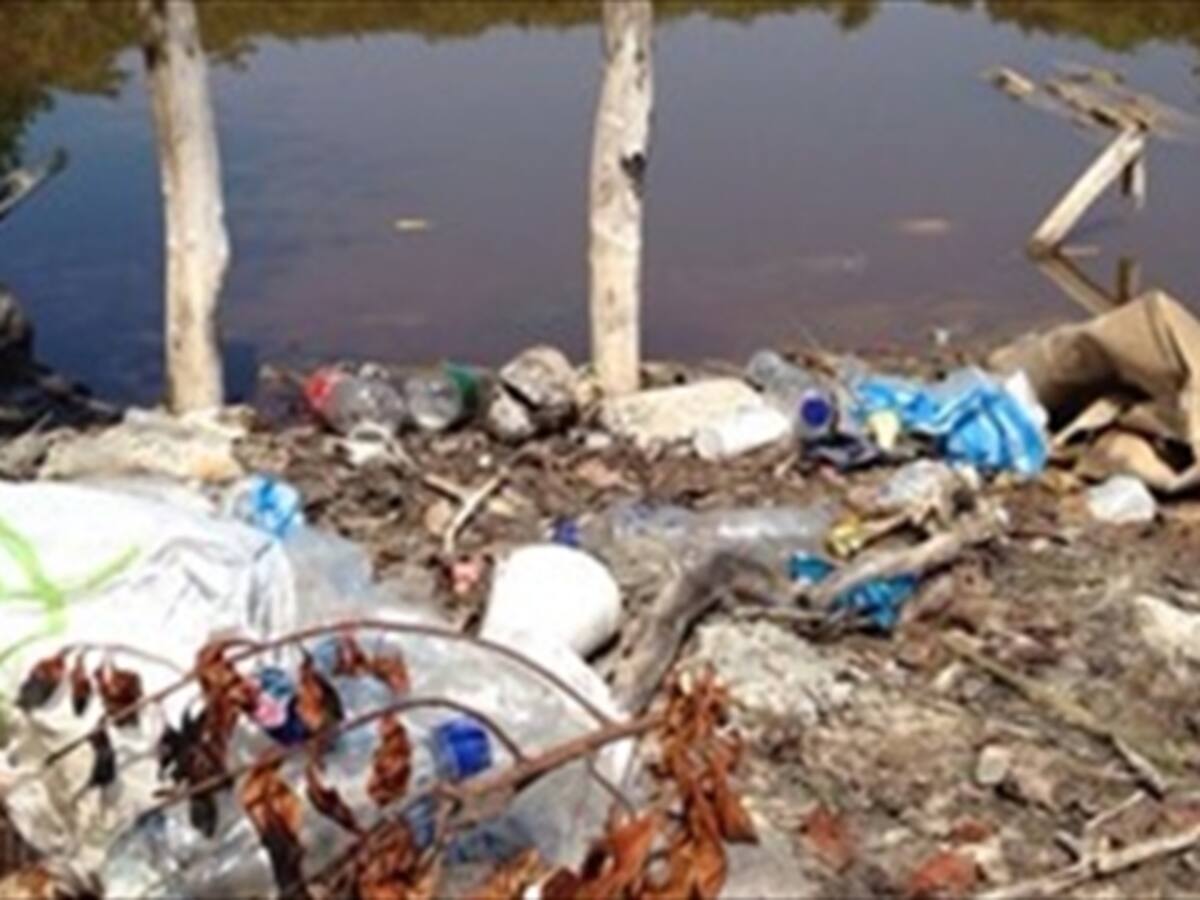 Van 1.300 sancionados con comparendos ambientales en Bogotá