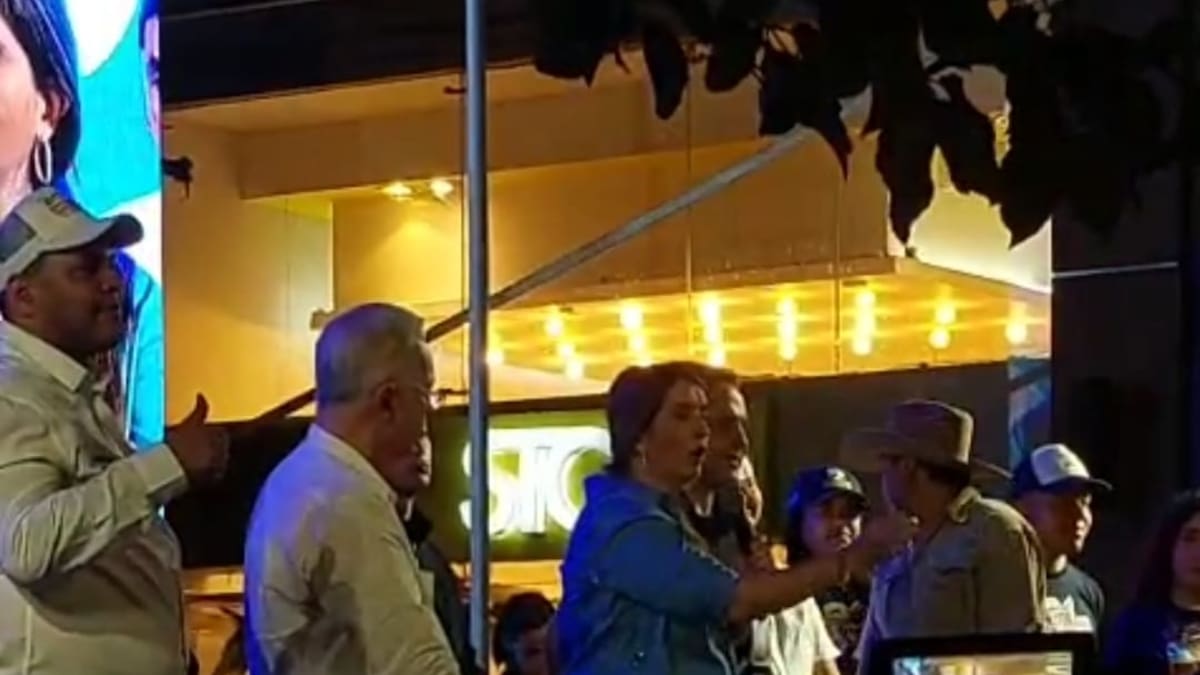 El 7 de agosto se acaba la Paz Total y empieza la seguridad total: Paloma Valencia