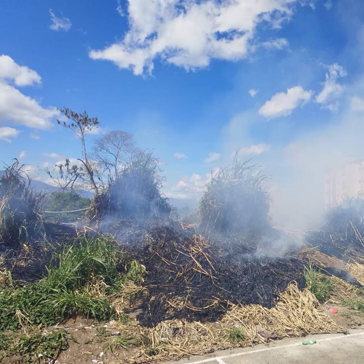 El 98% de los incendios forestales en Quindío son provocados: Organismos de Socorro