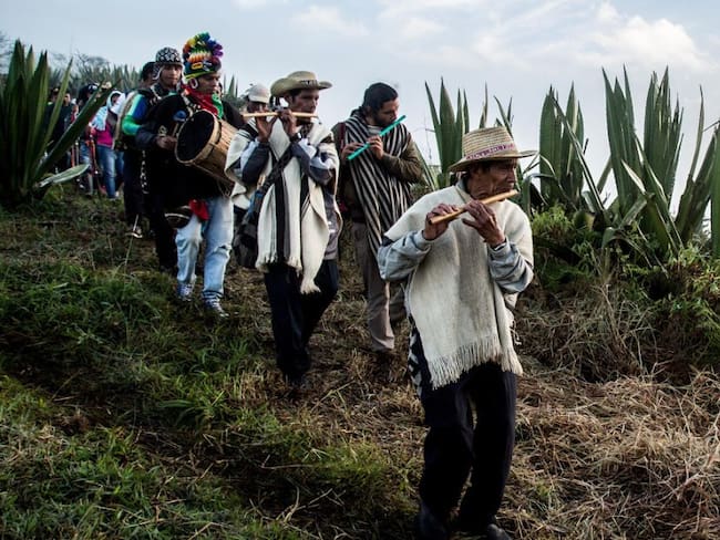 La Sinfónica de los Andes, la música en medio del conflicto