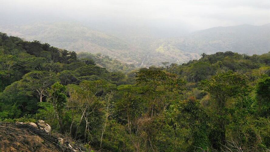 Parque Tayrona. Foto: Agencia Anadolu
