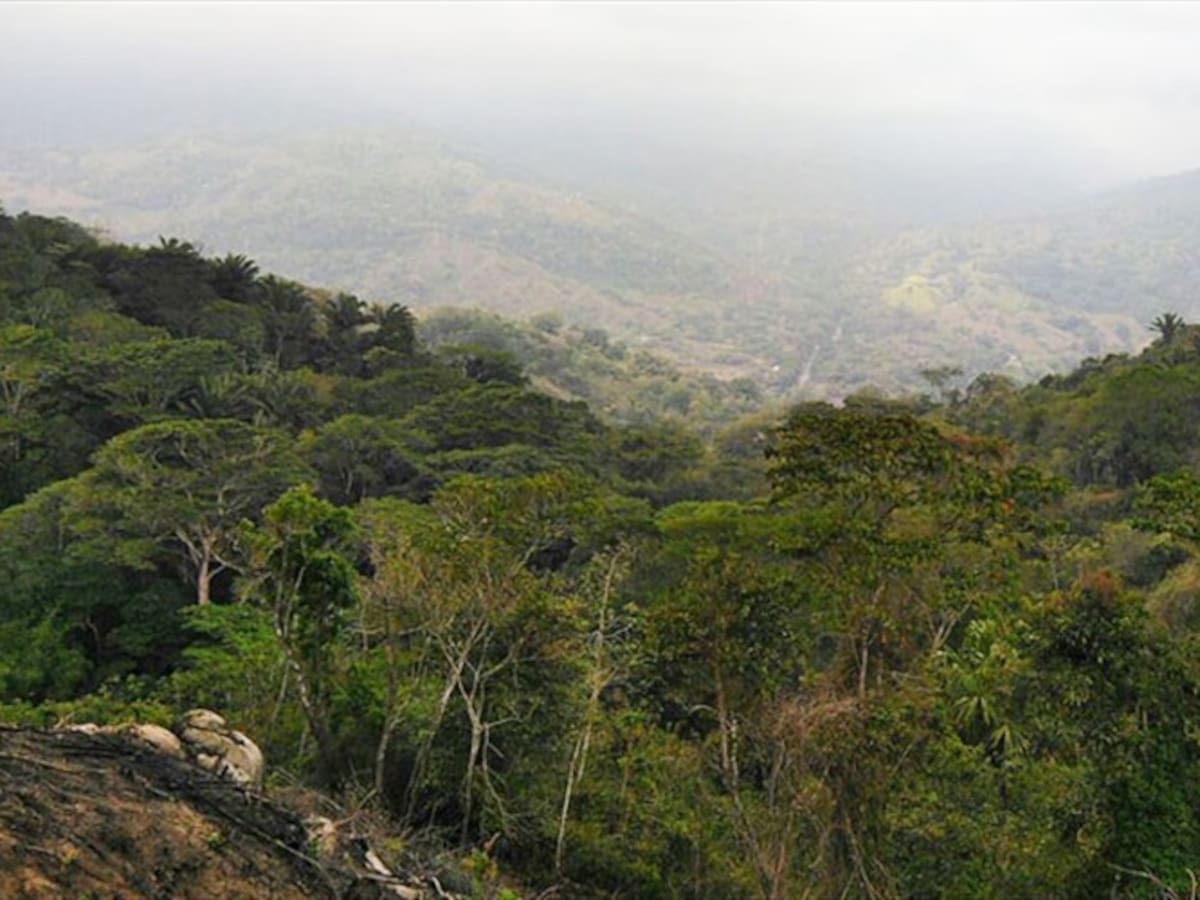 Trabajadores turísticos en Tayrona piden garantías de seguridad por secuestros extorsivos