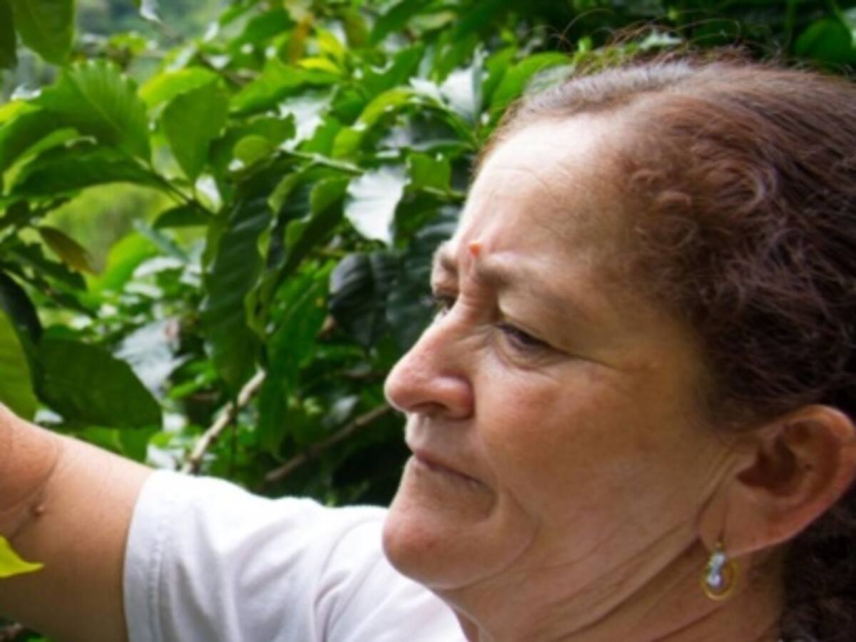 Las chapoleras, cada vez más líderes