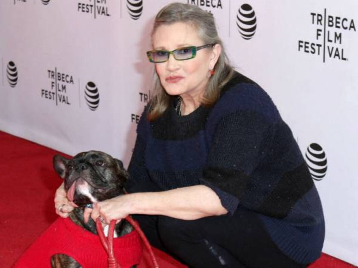 ¿Quién maneja el popular Twitter de Gary, el perro de Carrie Fisher?