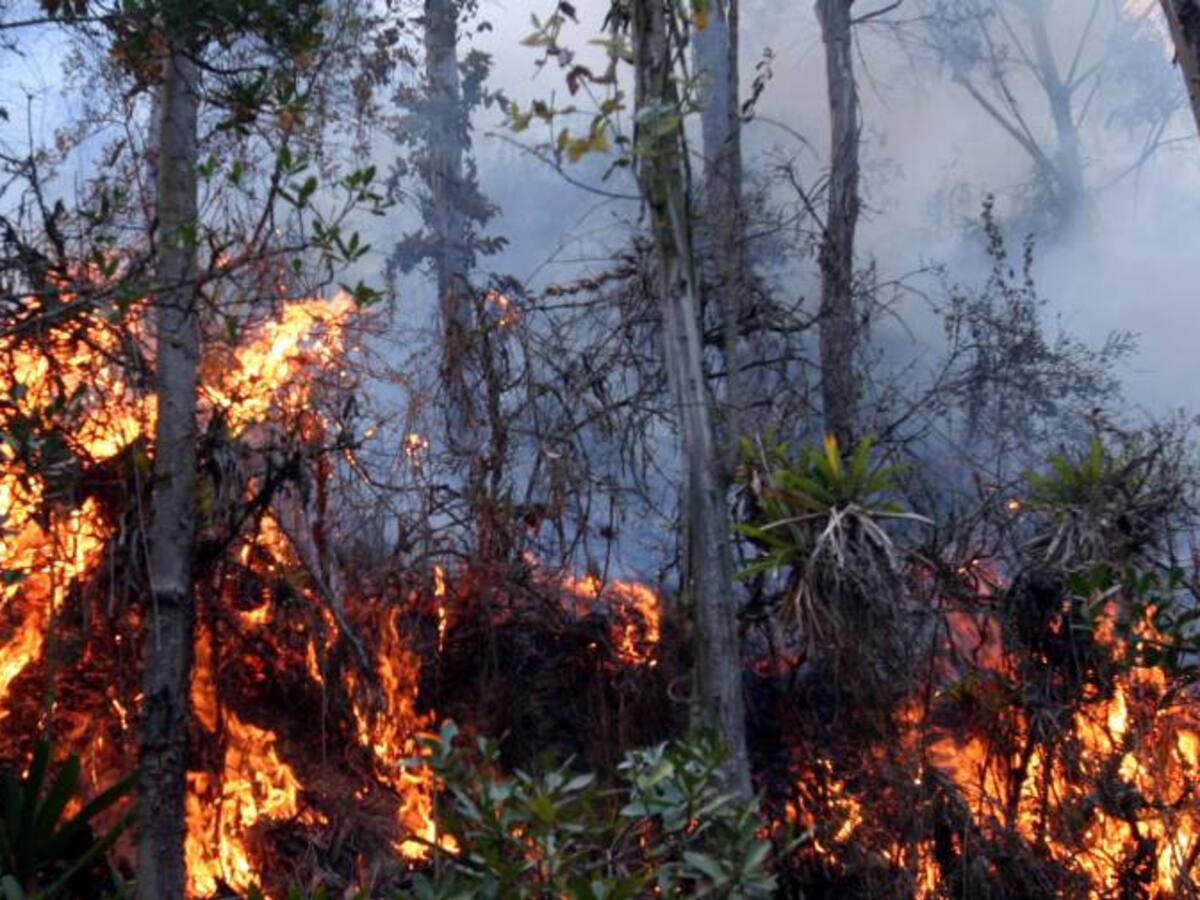 25 municipios afectados en el Huila por incendios forestales