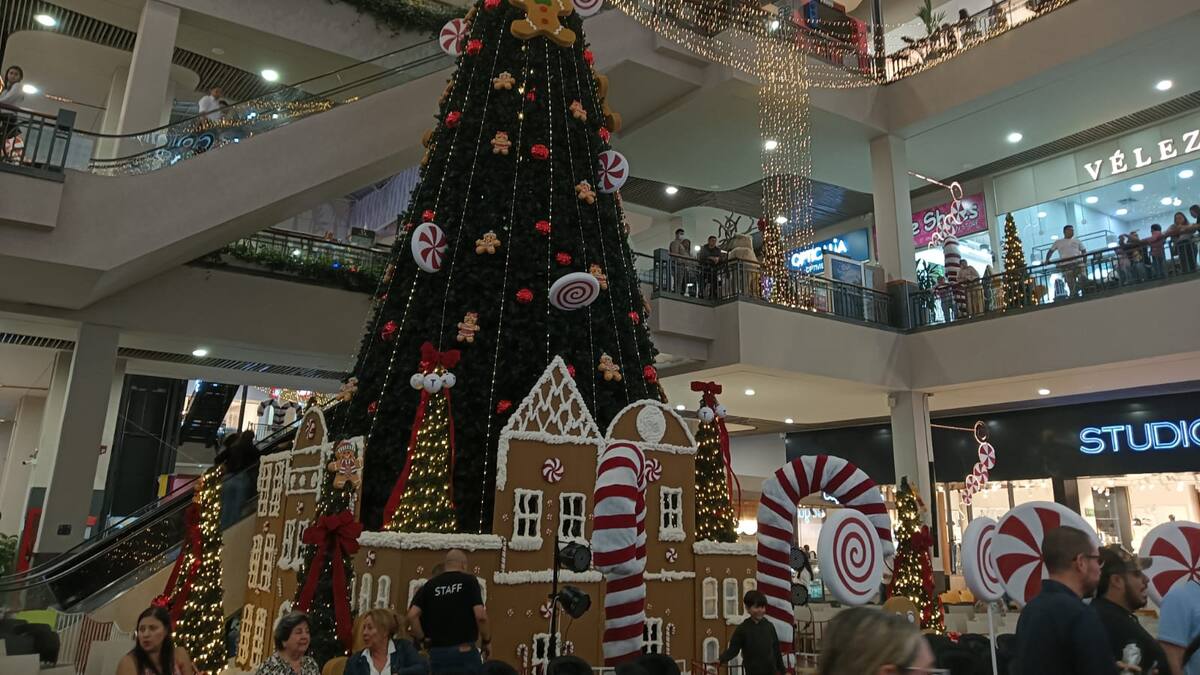 Viernes 14 de noviembre, las noticias más importantes de Armenia y Quindío