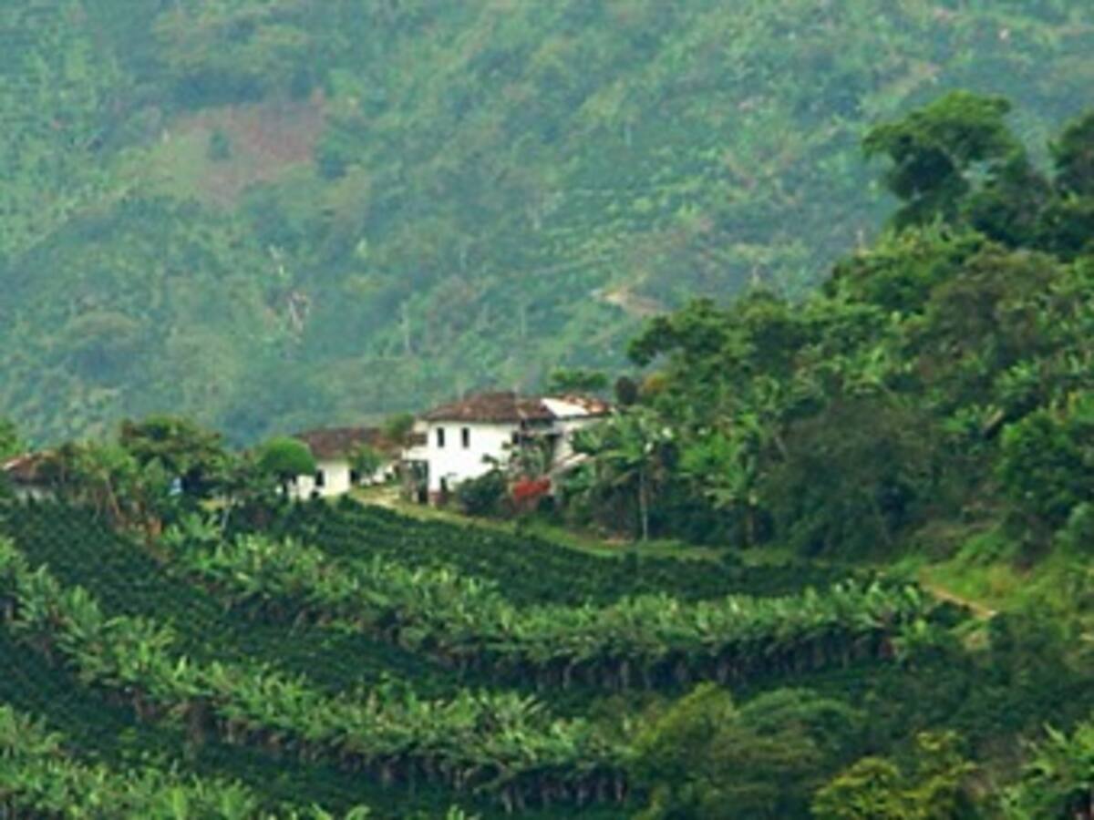 Cafeteros de Risaralda piden al presidente Santos opciones para superar la crisis del sector