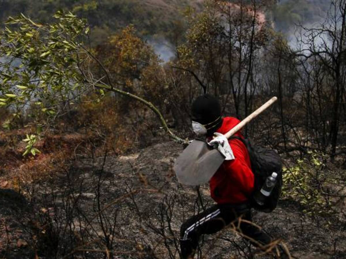 15.000 hectáreas afectadas por el verano en el Huila