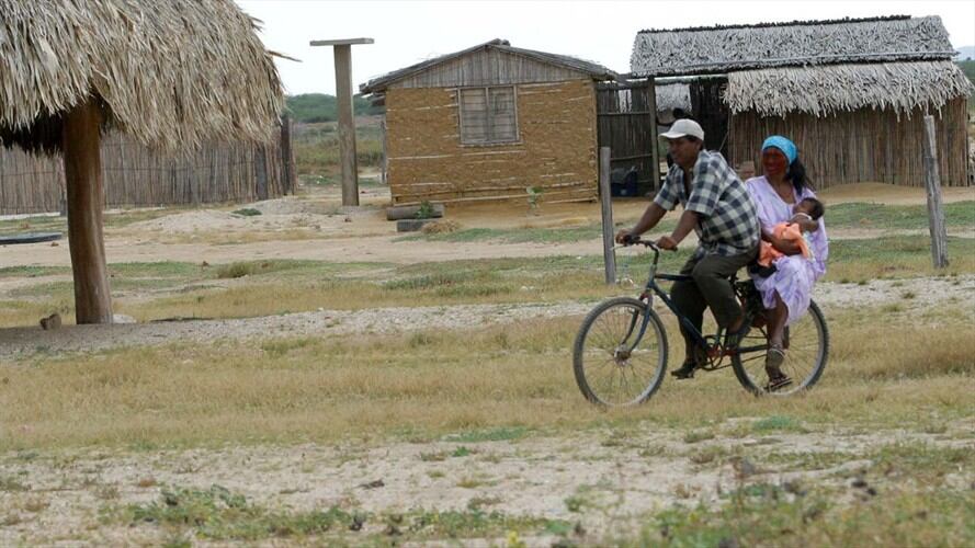 Indígenas Wayuu se movilizan a lomo de mula en sus diferentes trechos. Foto: Colprensa.