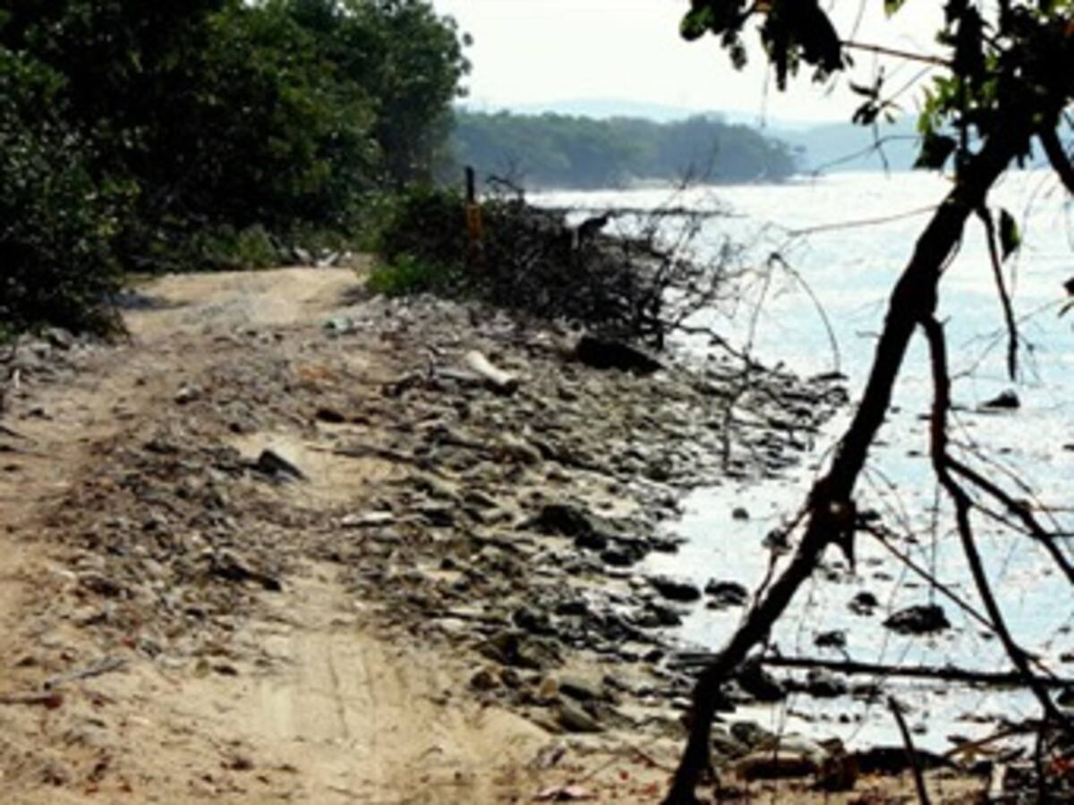 Reservas de islas del Rosario y San Bernardo en riesgo de desaparecer