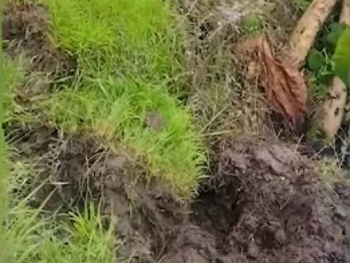 Suspendieron el servicio de agua en Neira, Caldas, por un derrumbe en una bocatoma