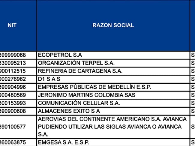 Empresas más grandes 2025. Crédito: Superintendencia de Sociedades