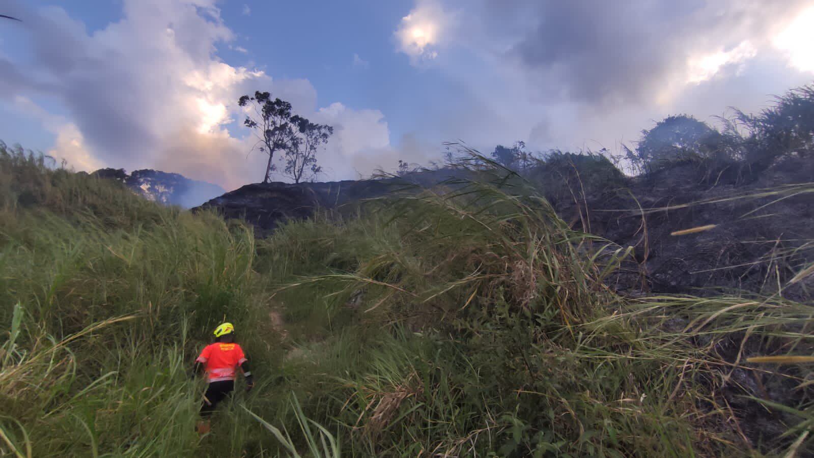 Incendio de cobertura vegetal. Cortesía.