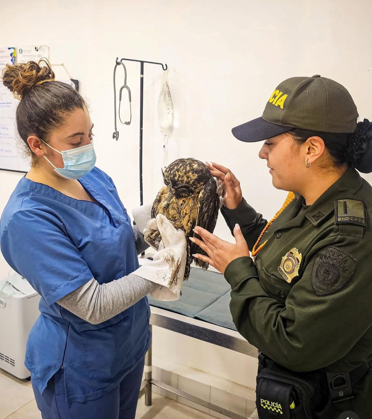 Policía de Bolívar