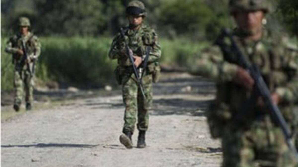 Seis guerrilleros murieron en combates de Caquetá