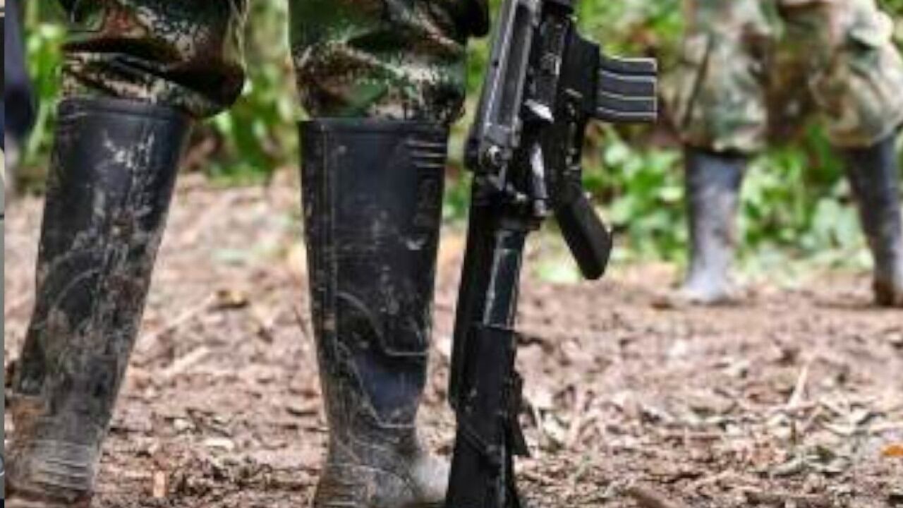 Autoridades tratan de establecer quienes están detrás de las extorsiones al sector palmicultor / Foto Archivo