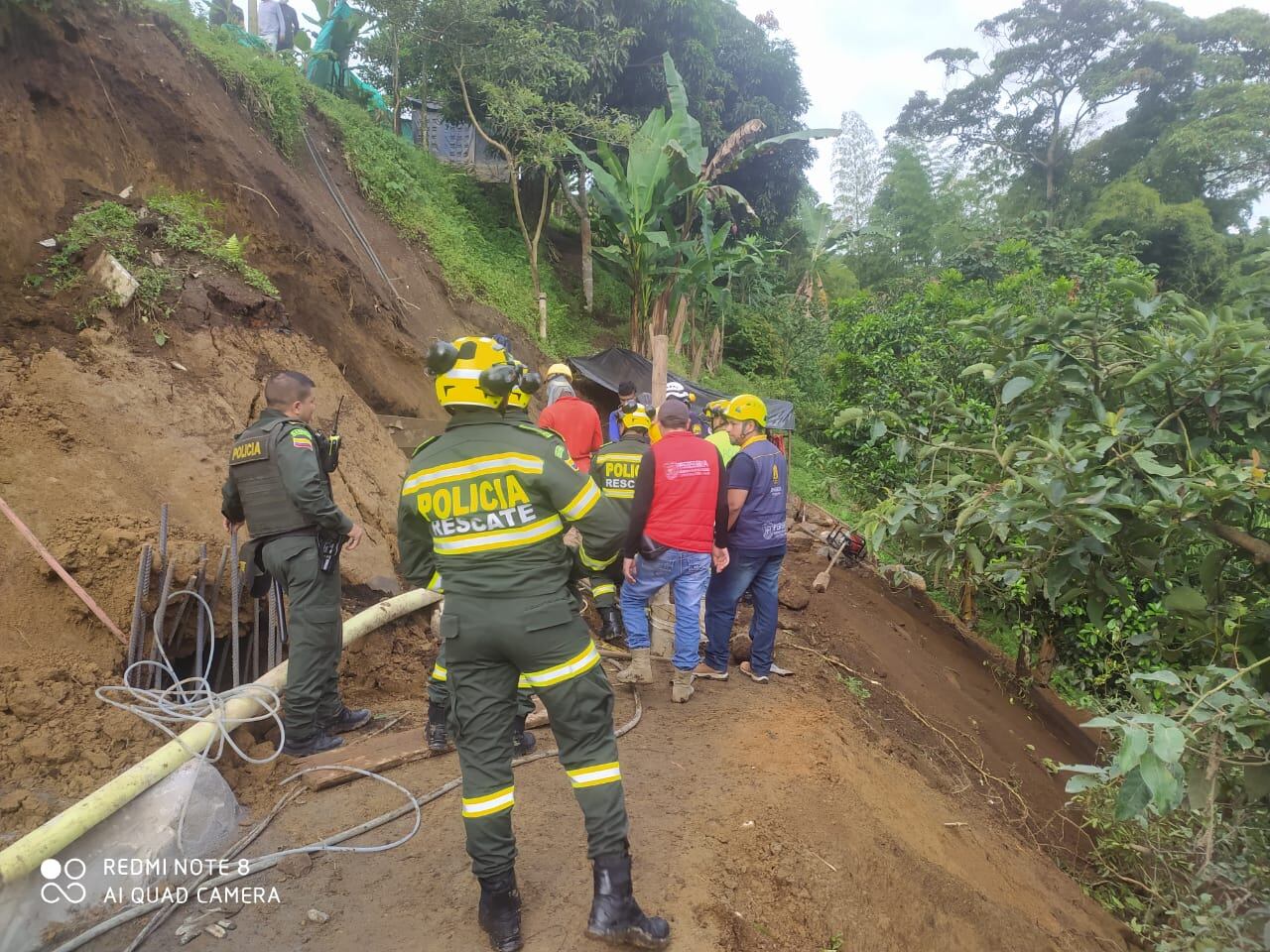 Imagen de referencia