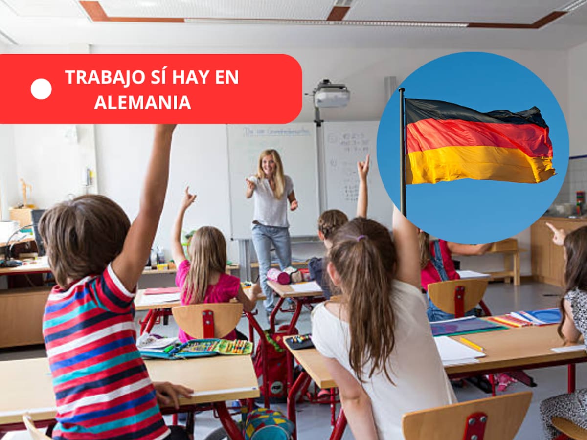 Alemania busca profesores colombianos con salario mensual de $15.000.000: Estas son las funciones