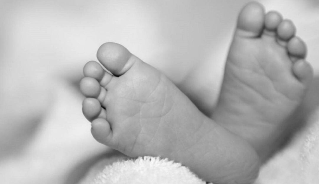 Imagen de referencia. 