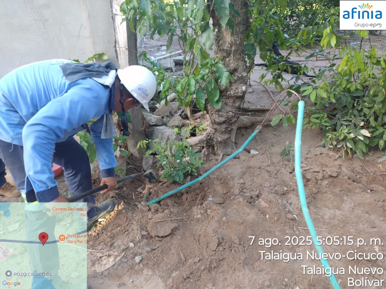 Detectan millonaria defraudación de energía en finca lechera de Cicuco