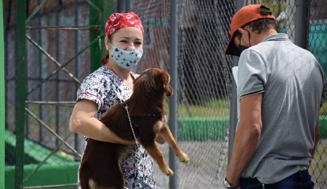 Esterilización de animales