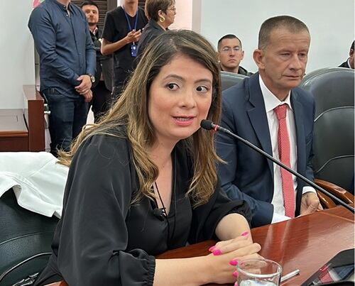 Crédito: Concejala Paula Toro.