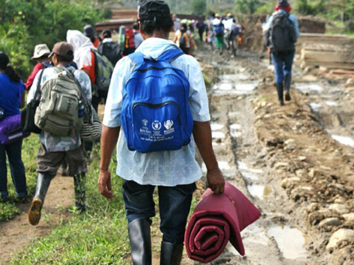Familias desplazadas del Catatumbo presentaron acción legal