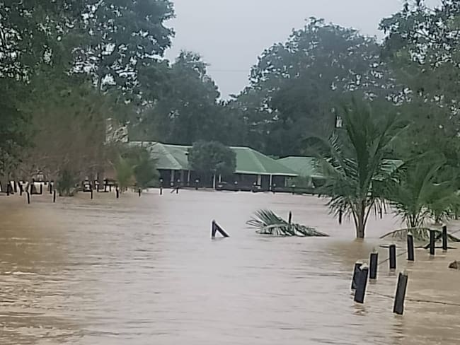 Inundaciones en Urabá- foto cortesía